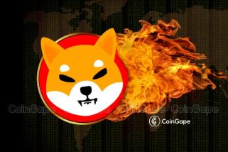 Shiba Inu Burn Rate Soars 5000% As Whale Reshuffles 4 Tln SHIB, What’s Happening?