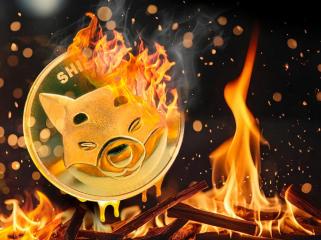 SHIB Burns on Fire After Shiba Inu Team Performs Hard Fork