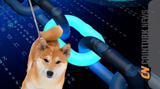 Dogecoin Investors Enjoy Price Surge