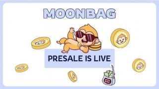 MoonBag 2024 年预售：Pepe Coin 和 AAVE 的新竞争者？