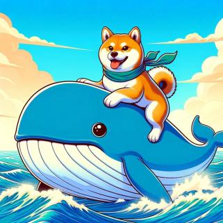 Dogecoin Whales On The Move: Transactions Surge More Than 50% Amid ETF Speculation