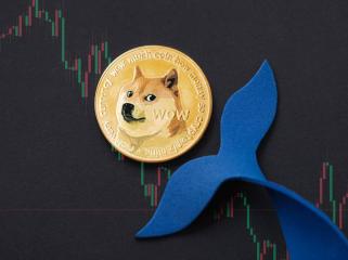 犬カボスの死後、ドージコインのクジラが消える DOGE Meme