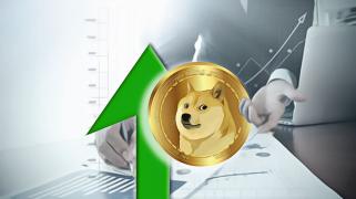 Dogecoin Whales Accumulate Vast Amounts