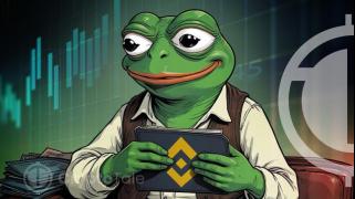 $12.34M Worth PEPE Transfer to Binance Highlights Market Volatility and Activity