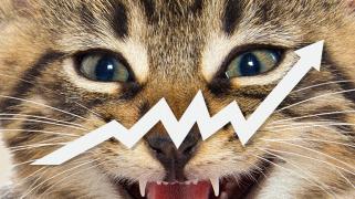 Roaring Kitty Price Prediction: KITTY Soars 26% As Analyst Says Lawsuit Against Keith Gill Is ”Doomed” And This New ICO Rockets Towards $2 M...