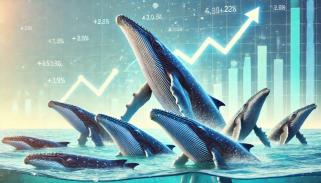 Toncoin (TON) Whales Just Went On $342 Million Buying Spree, Data Shows