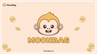 MoonBag 成为 2024 年最佳预售，而 Pepe Coin 和 Book of Meme 应对不确定性