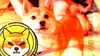 Shiba Inu Experiences Consolidation and Increased Burn Rate