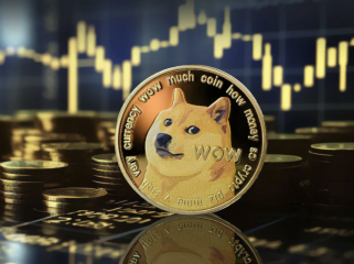 Dogecoin (DOGE) Price: Top Trader Reveals What to Expect from Leading Meme Coin