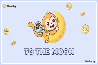 EarthMeta and PEPE Coin Shine, While MoonBag Promises High Return