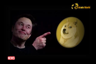 埃隆·马斯克 (Elon Musk) 的 D.O.G.E 帖子引发狗狗币飙升 6%