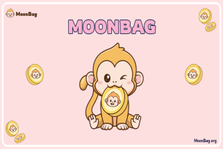 了解为什么 MoonBag 是最好的加密货币预售，同时探索 SHIBASHOOT 和 DOGE 的增长