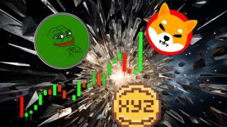 New Polygon-Based Meme Coin Poised to Overtake SHIB and PEPE With a Stunning 16,900% Rally!