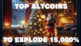 Top 5 Christmas Rally Favorites Including a Hidden Meme Gem Set for 15,000% Growth